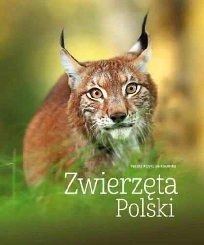 ZWIERZĘTA POLSKI, RENATA KOSI艃SKA Oferta