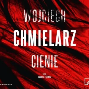 Wysoka jakość JAKUB MORTKA T.5 CIENIE AUDIOBOOK