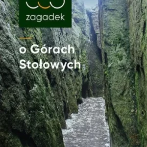 Najlepsza cena 555 ZAGADEK O GRACH STOŁOWYCH, ANNA ZYGMA