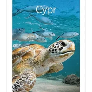 Tylko dziś CYPR. TRAVELBOOK W.5, PETER ZRALEK